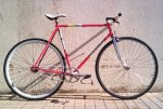 fixi2.jpg