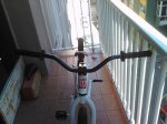 IMG003.jpg