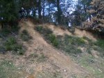 100_0002 [HDTV (720)].JPG