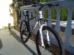 orbea1.jpg
