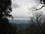 IMG_0014.JPG