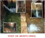 MONTI.jpg