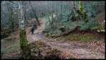 P1020002RAWWEB1.jpg