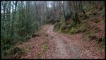 P1020003RAWWEB1.jpg