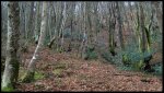 P1020005RAWWEB1.jpg