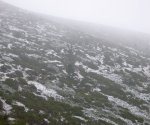P0000009_redimensionar.JPG