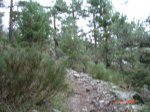 DSC00417.JPG
