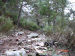 DSC00421.JPG