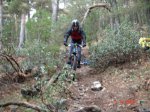 DSC00424.JPG