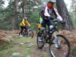 DSC00431.JPG