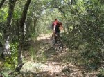 IMG_2196 copia.jpg