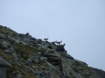 DSC01163.JPG