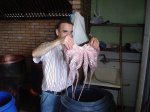 DSC06062.JPG