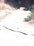DSCF3160.JPG