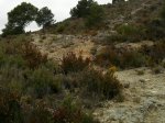 Foto0766.jpg
