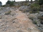 Foto0764.jpg