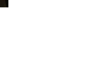 IMG_0366.gif