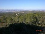 CIMG8335.jpg