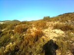 Imagen0021.jpg