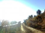 Imagen0023.jpg