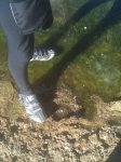 IMG_0962.JPG