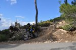 DH Cura 22-01-2011 040.JPG