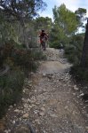 DH Cura 22-01-2011 065.JPG