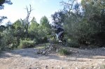 DH Cura 22-01-2011 133.JPG