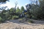 DH Cura 22-01-2011 143.JPG