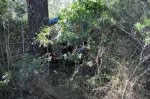 DH Cura 22-01-2011 171.JPG
