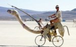 1bicicamello.jpg