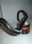 DSC00015.JPG