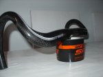 DSC00016.JPG