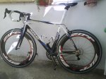 ridley entera (Copiar).jpg
