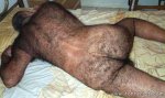 hombre_peludo.jpg
