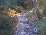 DSC_0212.jpg