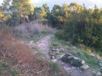 DSC_0206.jpg