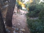 DSC_0214.jpg