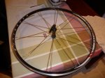 Bontrager delantera 002.jpg
