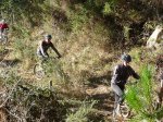 mtb.jpg