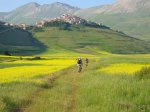 1cannondalepaisaje.jpg