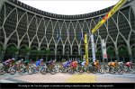 tdl11st06-back.jpg
