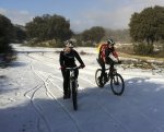 marmota cpn nieve.jpg