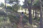 29012011066 (Copiar).JPG