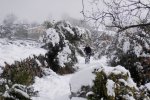 R0018161.JPG