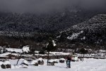 R0018178.JPG