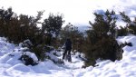 R0018184.JPG