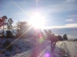 DSC09272.JPG