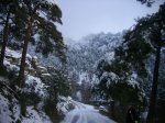 02 ESCORIAL NEVADO.jpg