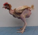 gallina_destruida.jpg